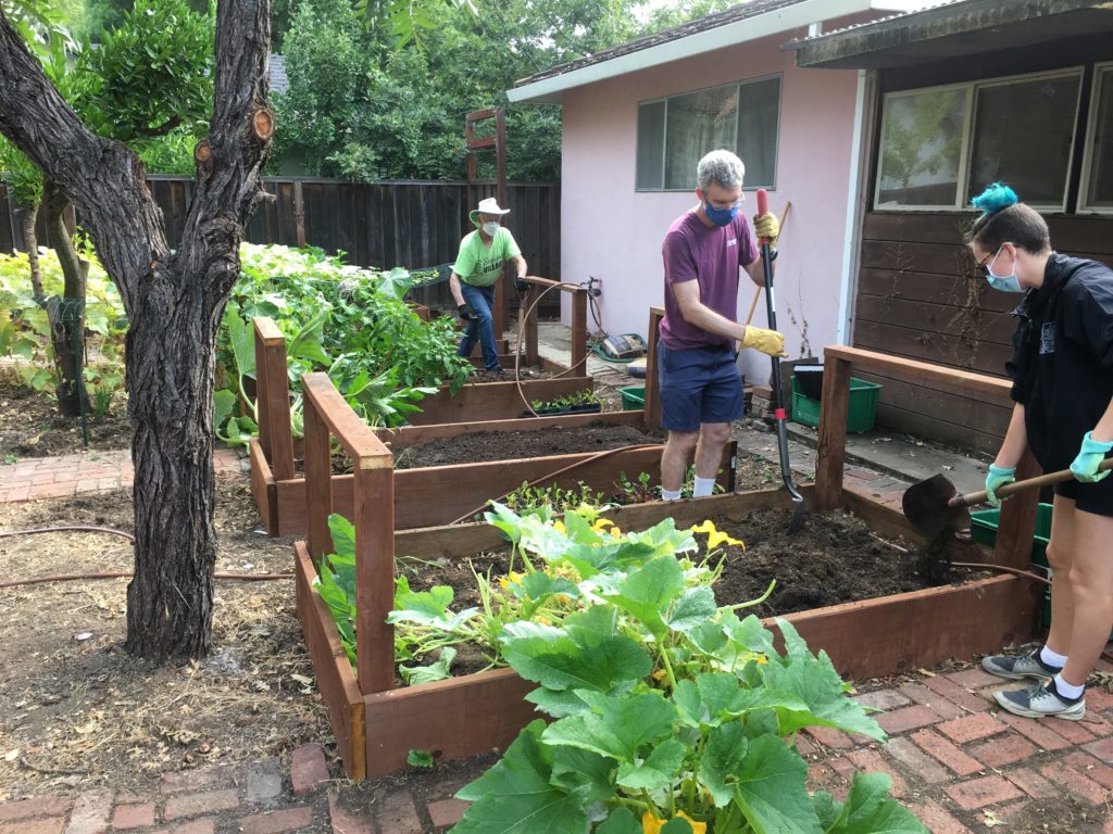 nutritional-benefits-for-senior-citizens-in-urban-gardening-each