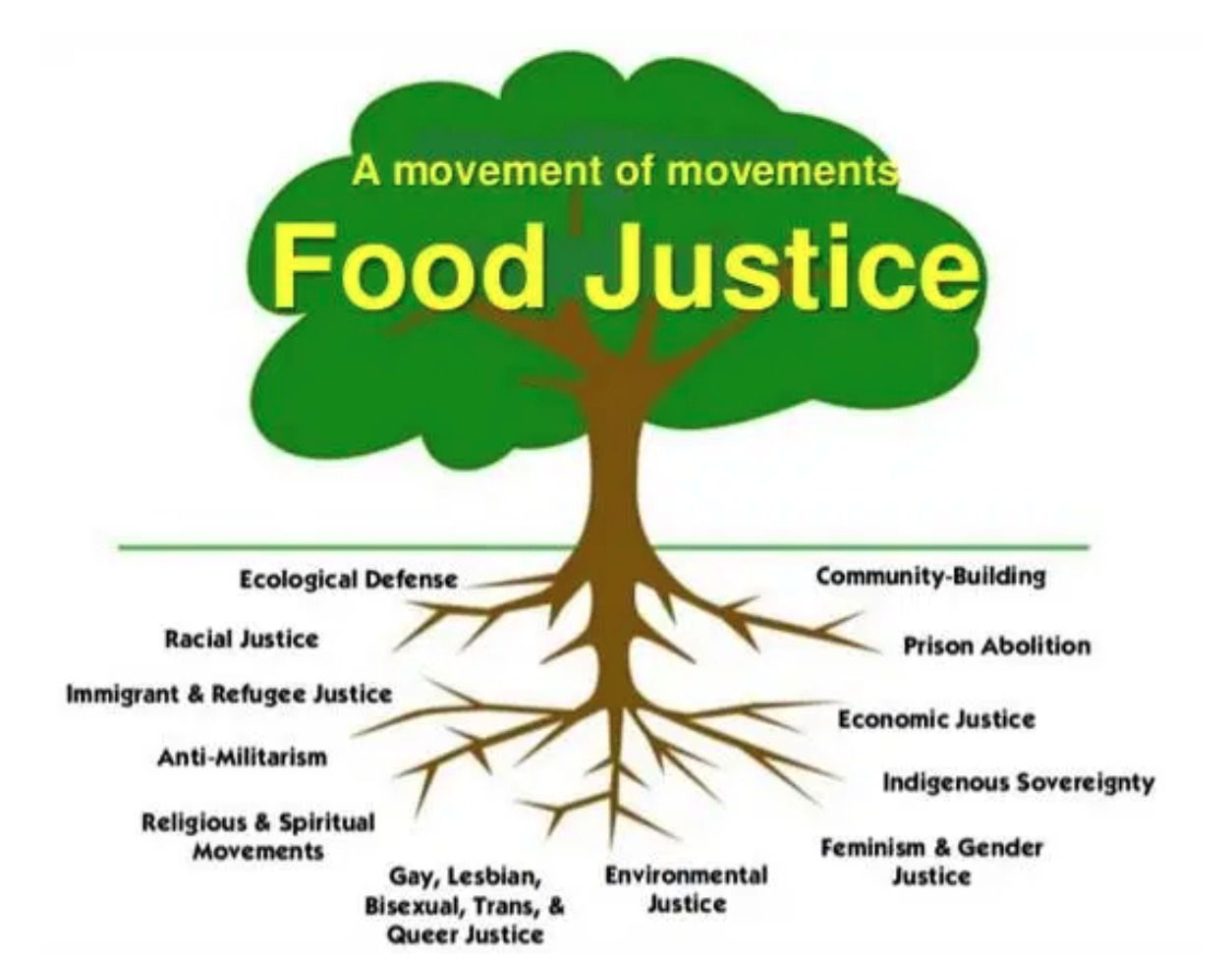 What is Food Justice Each Green Corner