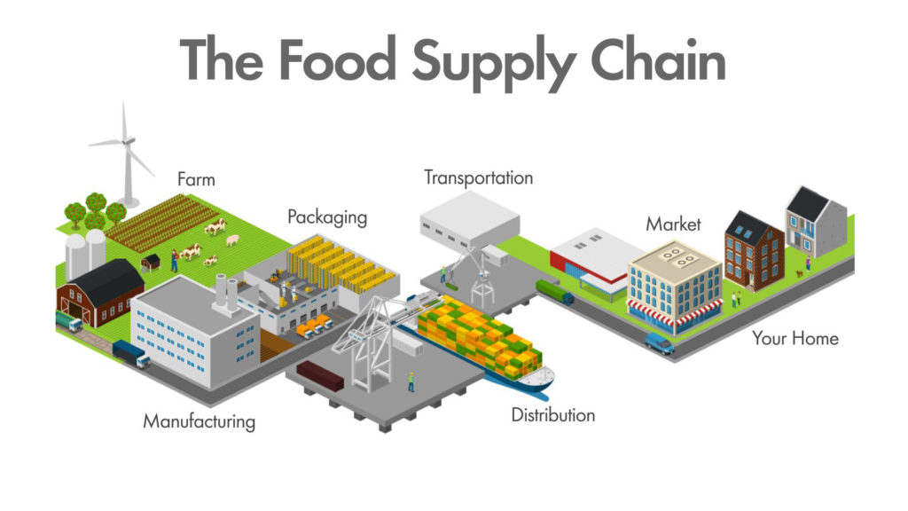 Waste In The Food Supply Chain Each Green Corner